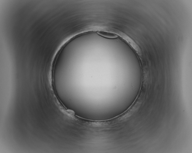 X0000112360904200908271251