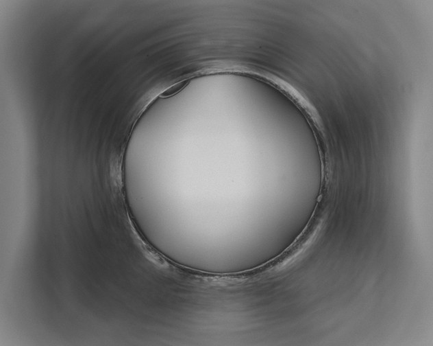 X0000112360905200908271251