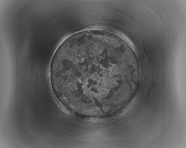 X0000112360907200908271251