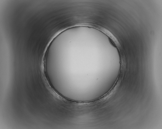 X0000112360908200908271251