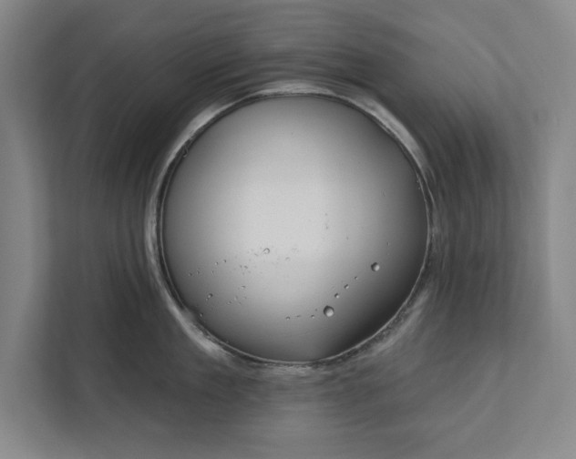 X0000112360909200908271251