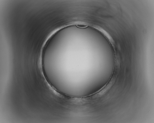 X0000112360910200908271251