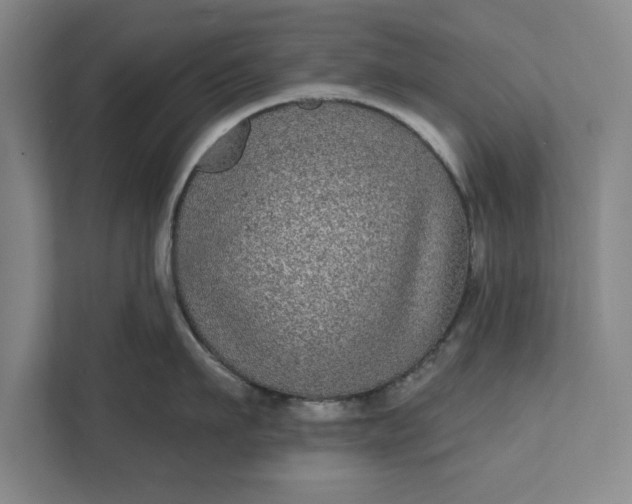 X0000112360911200908271251