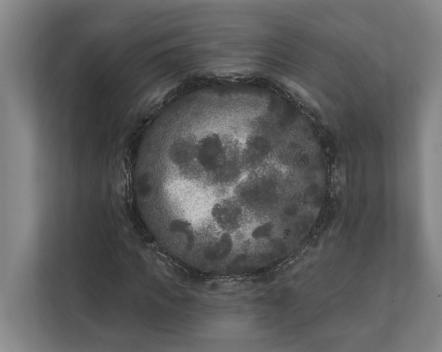 X0000112360917200908271250