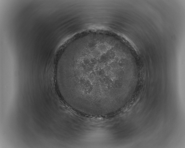 X0000112360919200908271250