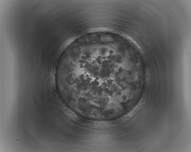 X0000112360921200908271250