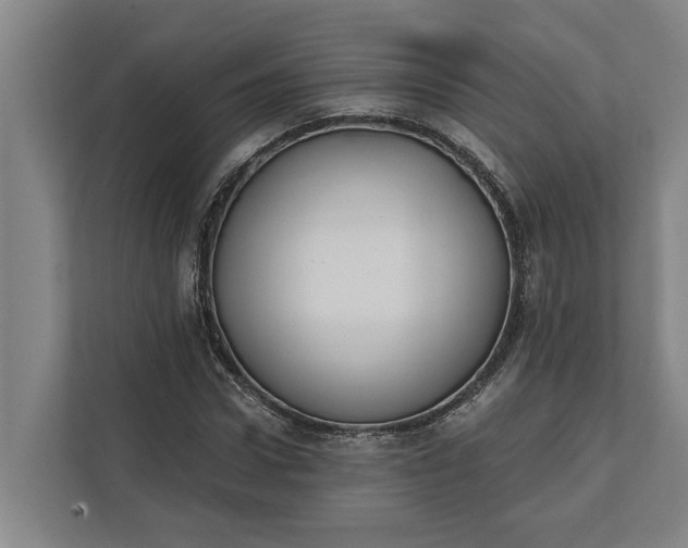 X0000112360922200908271250