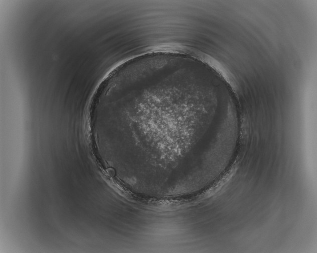 X0000112360923200908271250