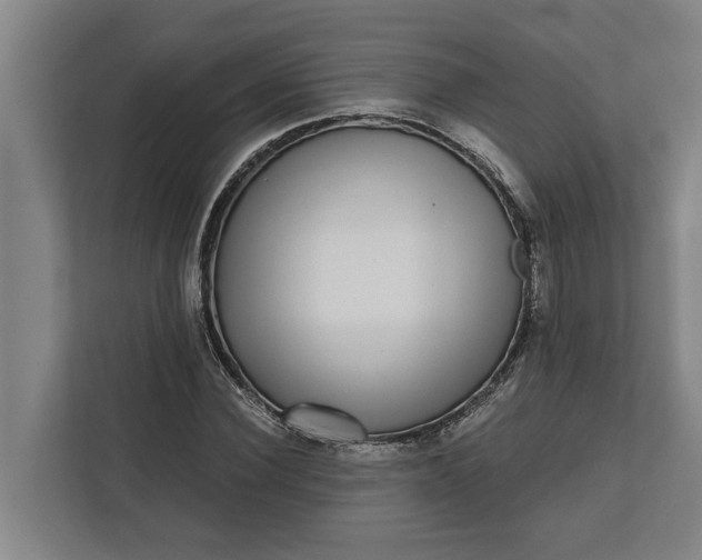 X0000112360924200908271250