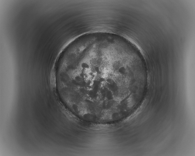 X0000112360925200908271250