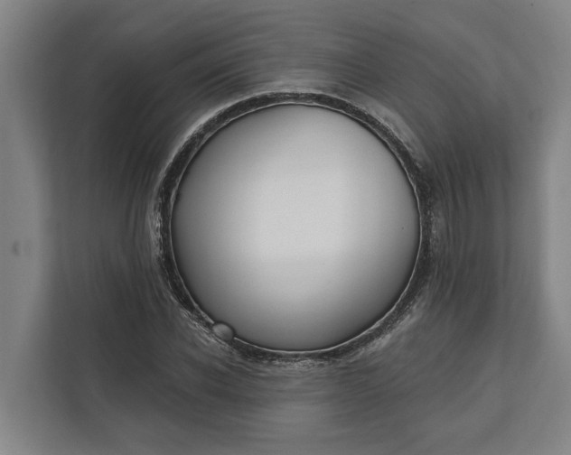 X0000112360926200908271250