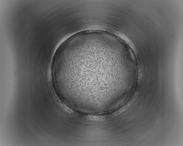 X0000112360928200908271250