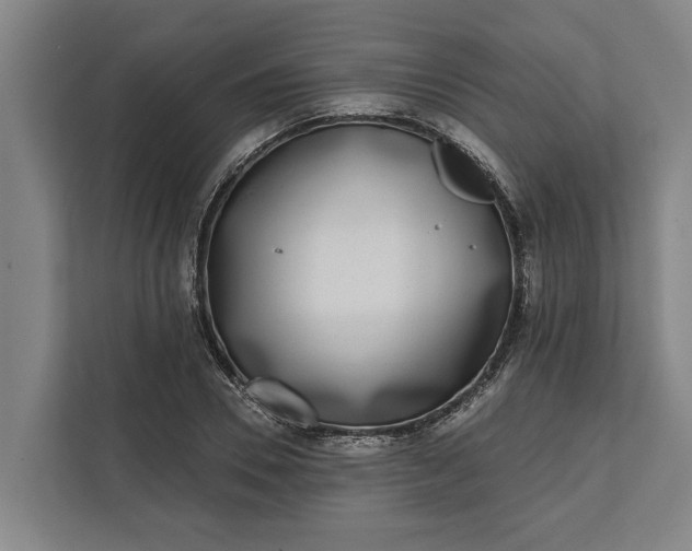 X0000112360930200908271250