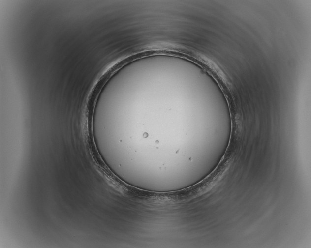 X0000112360931200908271250