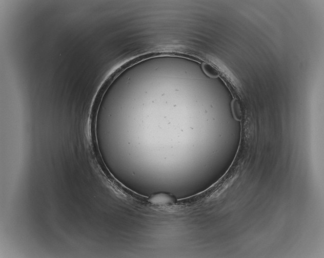 X0000112360932200908271250