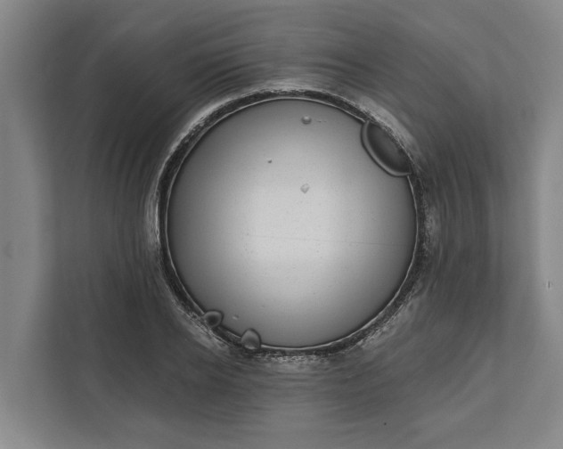 X0000112360934200908271250