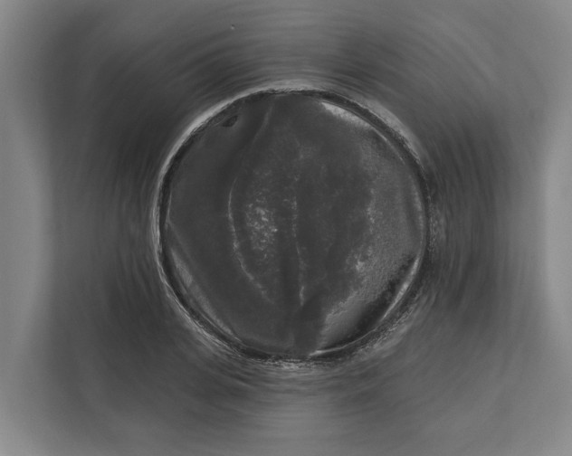 X0000112360935200908271250