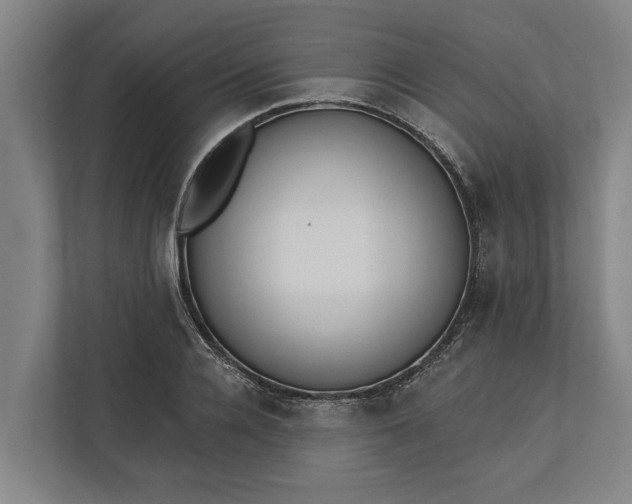 X0000112360936200908271250