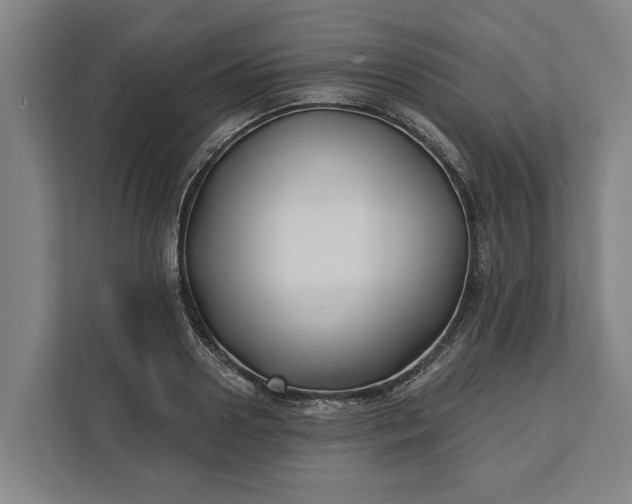 X0000112360938200908271250