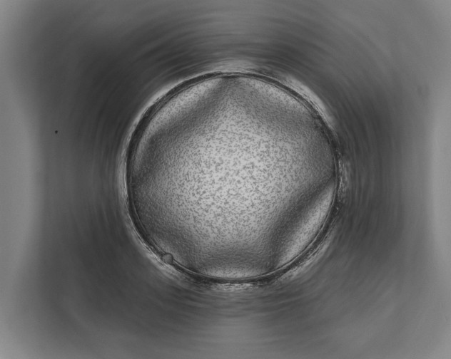 X0000112360939200908271250