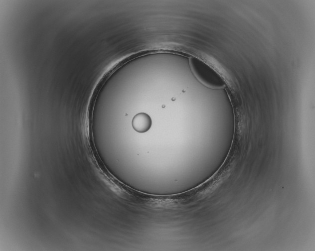 X0000112360940200908271250