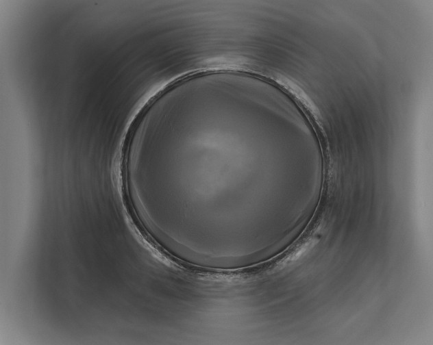 X0000112360941200908271250