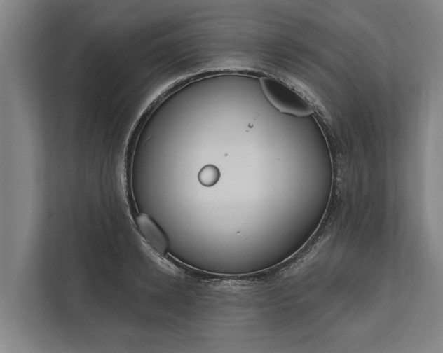 X0000112360942200908271250