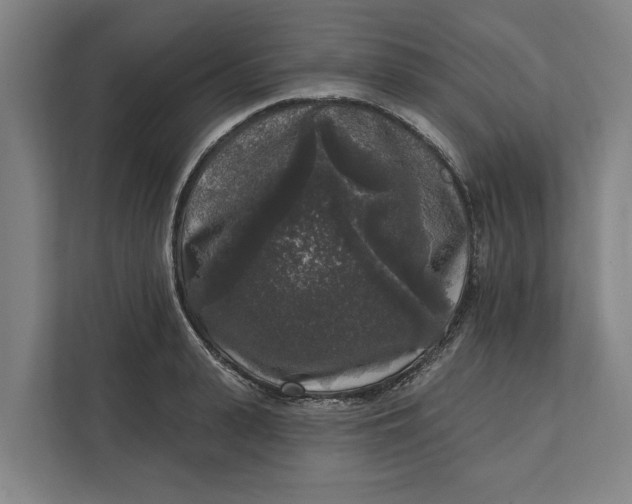 X0000112360943200908271250