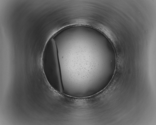 X0000112360944200908271250