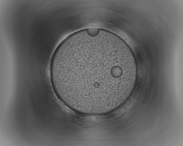 X0000112360950200908271250