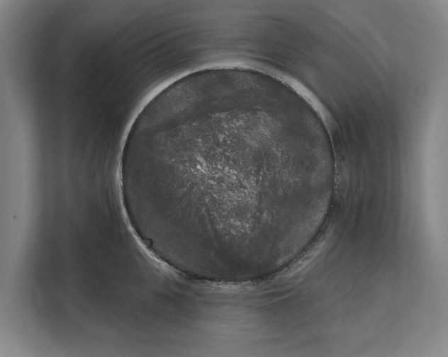 X0000112360951200908271250