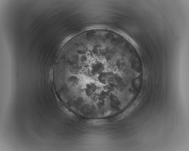 X0000112360953200908271250