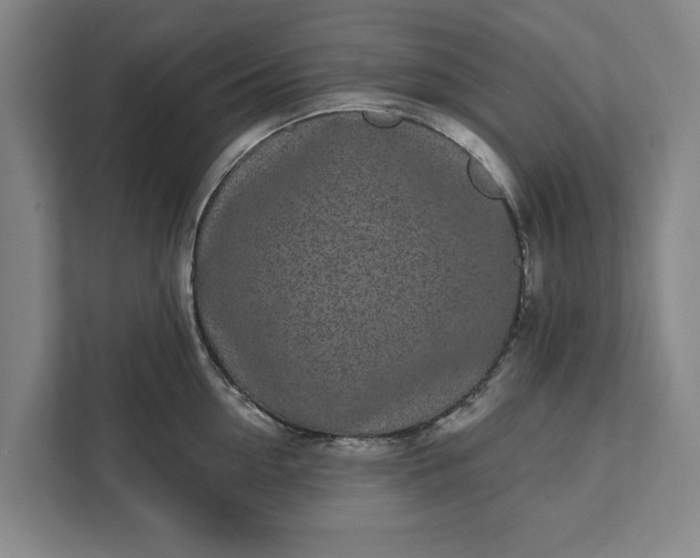 X0000112360954200908271250