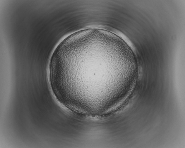 X0000112360955200908271250