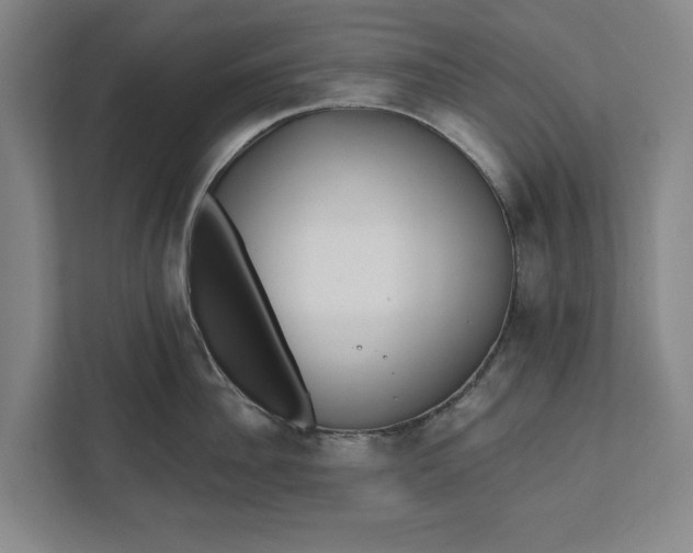 X0000112360956200908271250