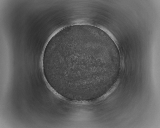 X0000112360957200908271250