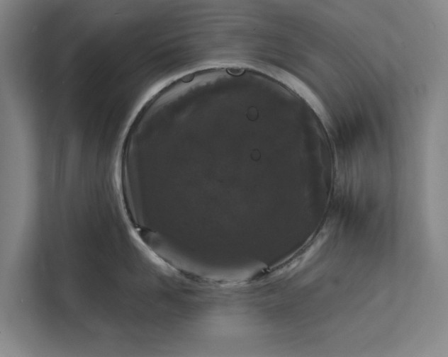 X0000112360958200908271250