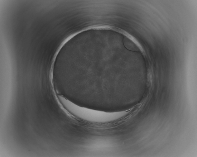 X0000112360959200908271250