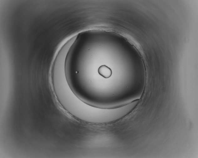 X0000112360960200908271250