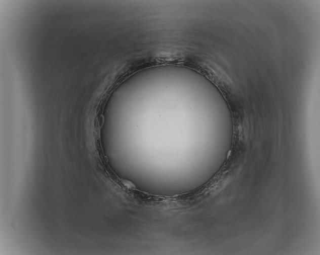 X0000112360961200908271250