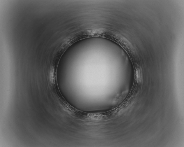 X0000112360963200908271250