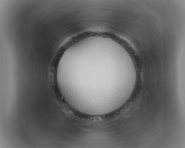 X0000112360968200908271250