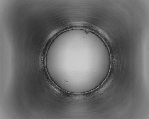 X0000112360970200908271250