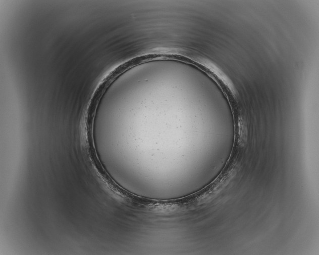 X0000112360972200908271250