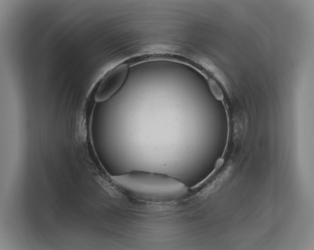 X0000112360973200908271250