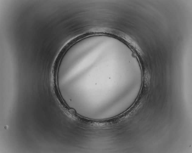 X0000112360976200908271250