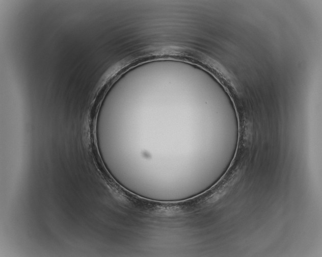 X0000112360978200908271250