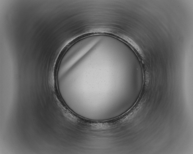 X0000112360980200908271250