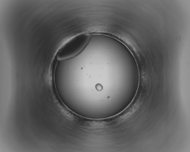 X0000112360981200908271250