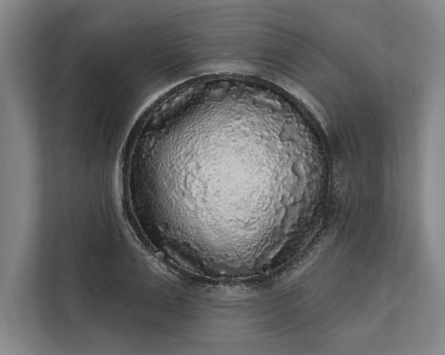 X0000112360983200908271250